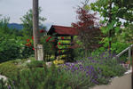 Photos of Bed and Breakfast Stojanovic