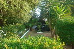 Paraschos Studios - Image 5