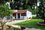 Paraschos Studios - Image 9