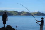 Hekerua Lodge - Image 5
