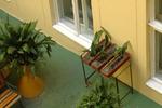 Photos of Travellers' Hostel Banki
