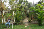 Photos of Palm Grove