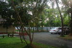 Photos of Palm Grove
