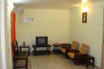 Photos of Palm Grove