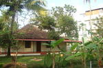 Photos of Palm Grove