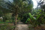 Photos of Palm Grove