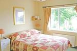 Photos of Copper Beech B&B