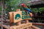 Deep Green Bungalows - Image 3
