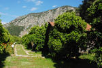 Deep Green Bungalows - Image 4