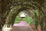 Photos of Hotel Mision De  Los Angeles
