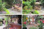 Photos of Mojito Garden