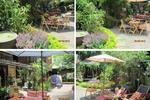 Photos of Mojito Garden