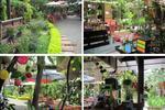 Photos of Mojito Garden