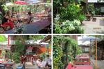 Photos of Mojito Garden