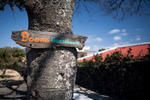 Photos of Doona Guesthouse