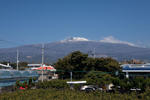 Photos of Doona Guesthouse