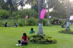 Merryland Campsite - Image 6