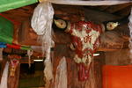 Daocheng MaMa International Youth Hostel - Image 7