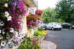 McCormack's Guesthouse - Image 3