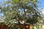 Aldeia Hostel - Image 4