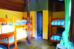 Photos of Hostel Encantadas Ecologic