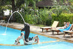 Bali Lovina Beach Cottages - Image 2