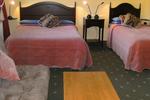 Photos of Kilbree House