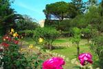 Tenuta Pizzolungo - Image 6