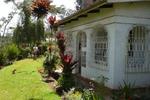 Shamba Bed&Breakfast