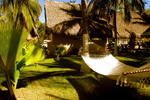 Sol y Arena Beach Hostel - Image 8