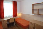 Photos of Famulus