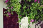 Villa -Host- St Julians