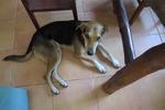 Backpackers Nirvana - Image 10