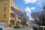 Bonaria B&B
