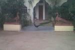 Shahar Palace - Image 3