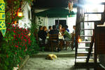 Shanti-Hostel - Image 3