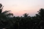 Photos of Jose Farms Homestay