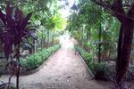 Photos of Jose Farms Homestay