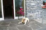 Carrown Tober House - Image 9