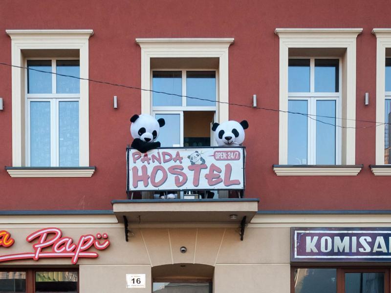 Panda Hostel  0