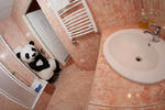 Panda Hostel - Image 2