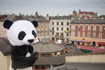Panda Hostel - Image 10