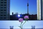 Violet am Alexanderplatz