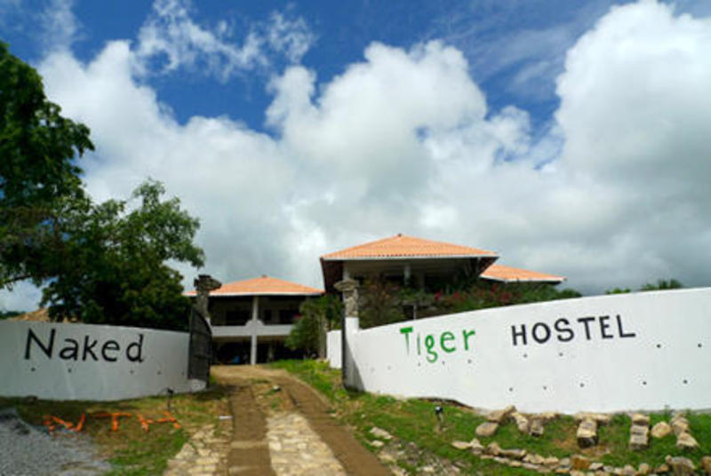 Naked Tiger Hostel  0