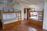 Photos of Naked Tiger Hostel