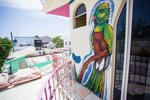 Tequilita Hostel - Image 2