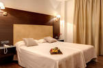 Hotel Madrid Torrejon Plaza