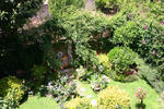 Suite Alimuri - Image 6