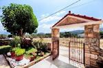 Olive Tree Apartments - Image 4