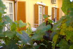 Rantos Apartments - Image 9